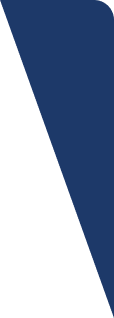 Elements Single Triangle 10