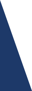 Elements Single Triangle 6